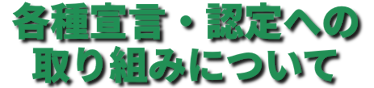 各種宣言・認定への取り組みについて